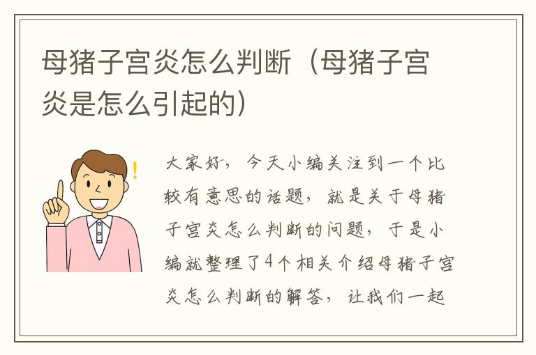 母猪子宫炎怎么判断（母猪子宫炎是怎么引起的）