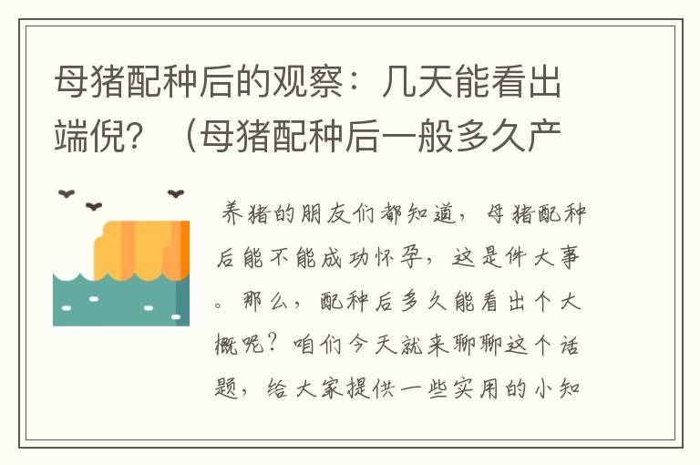 母猪配种后的观察：几天能看出端倪？（母猪配种后一般多久产小猪）