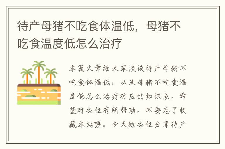 待产母猪不吃食体温低，母猪不吃食温度低怎么治疗