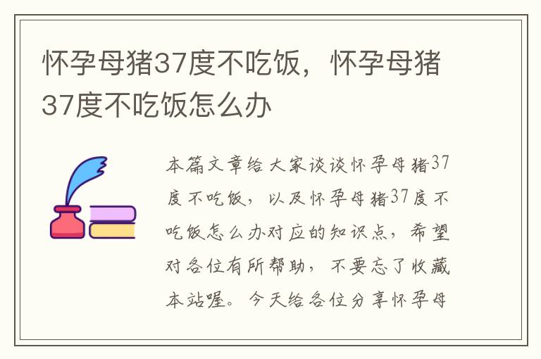 怀孕母猪37度不吃饭，怀孕母猪37度不吃饭怎么办