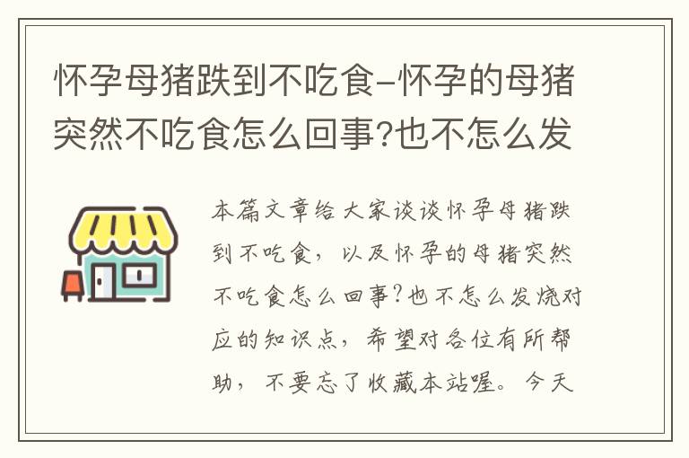 怀孕母猪跌到不吃食-怀孕的母猪突然不吃食怎么回事?也不怎么发烧