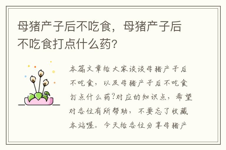 母猪产子后不吃食，母猪产子后不吃食打点什么药?