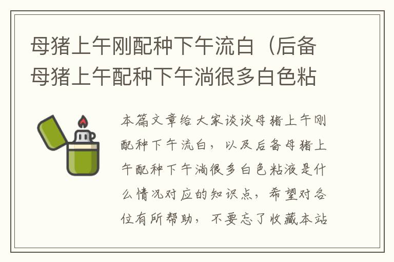 母猪上午刚配种下午流白（后备母猪上午配种下午淌很多白色粘液是什么情况）