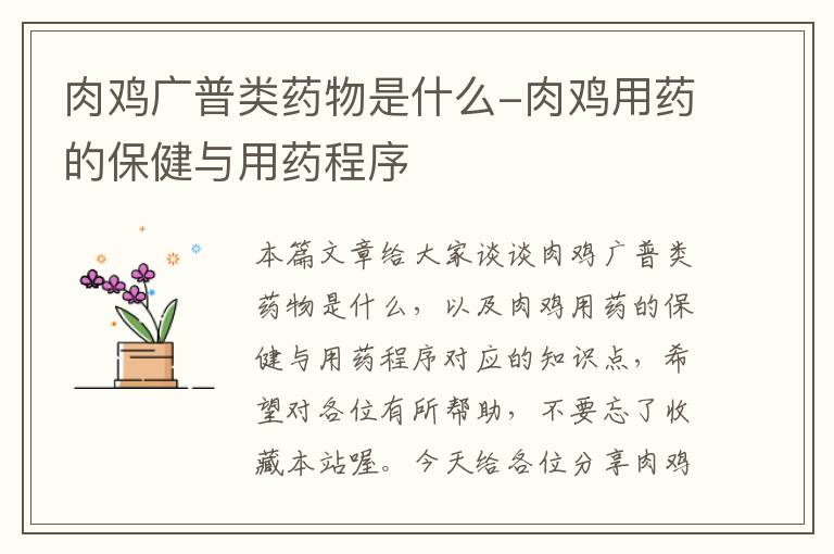 肉鸡广普类药物是什么-肉鸡用药的保健与用药程序