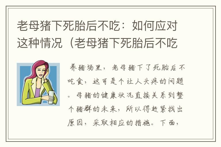 老母猪下死胎后不吃：如何应对这种情况（老母猪下死胎后不吃食）