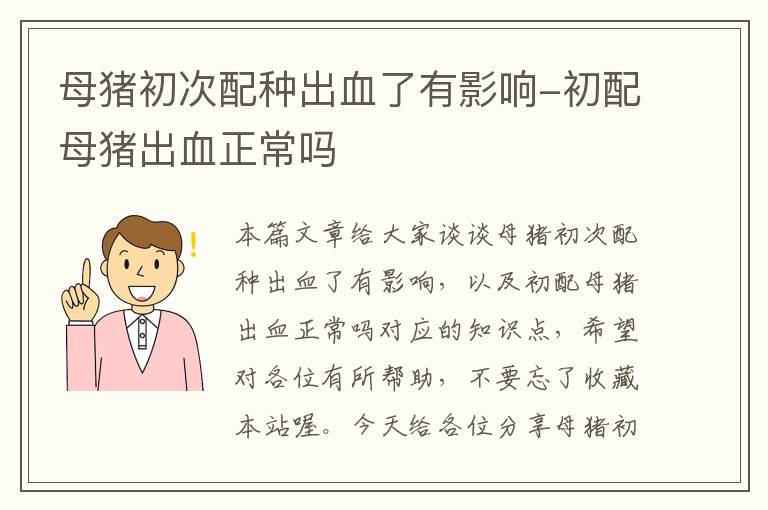 母猪初次配种出血了有影响-初配母猪出血正常吗