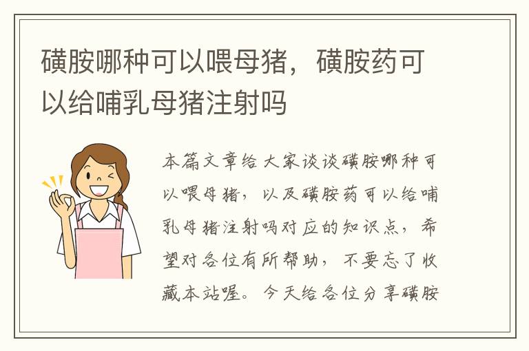 磺胺哪种可以喂母猪，磺胺药可以给哺乳母猪注射吗