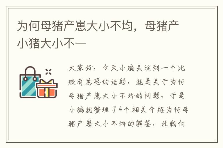 为何母猪产崽大小不均，母猪产小猪大小不一