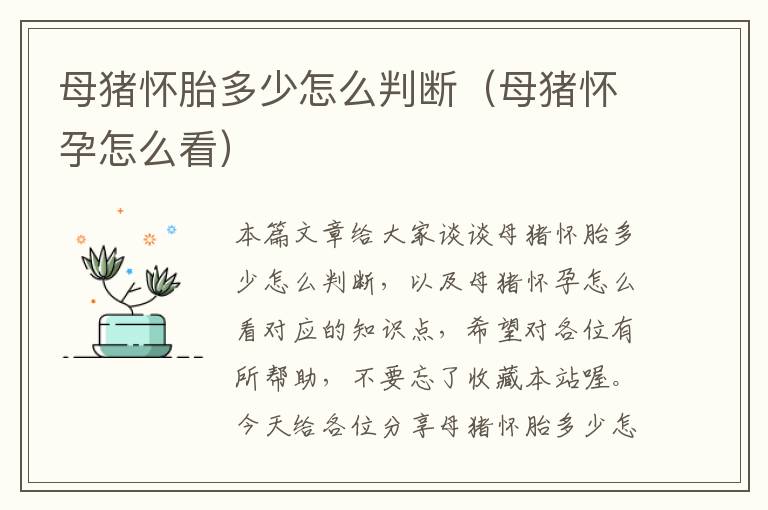 母猪怀胎多少怎么判断（母猪怀孕怎么看）