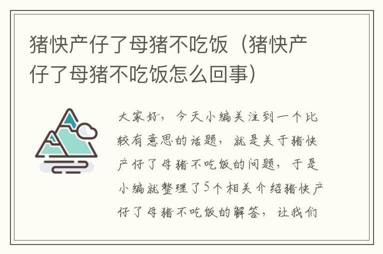 猪快产仔了母猪不吃饭（猪快产仔了母猪不吃饭怎么回事）