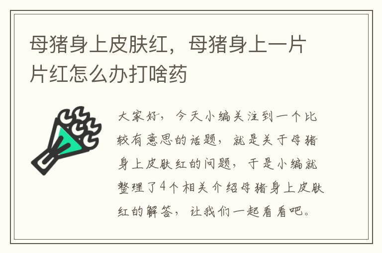 母猪身上皮肤红，母猪身上一片片红怎么办打啥药