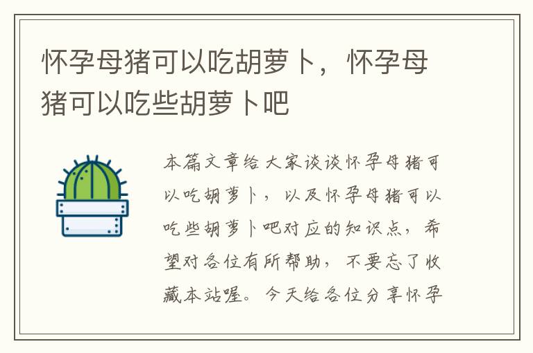 怀孕母猪可以吃胡萝卜，怀孕母猪可以吃些胡萝卜吧