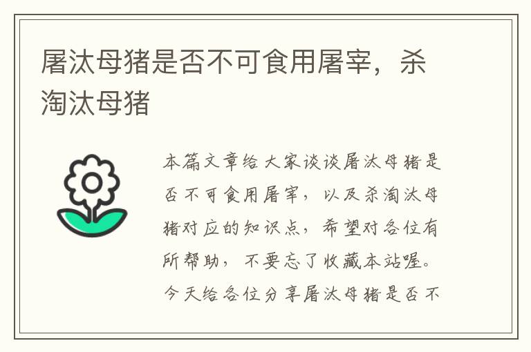 屠汰母猪是否不可食用屠宰，杀淘汰母猪