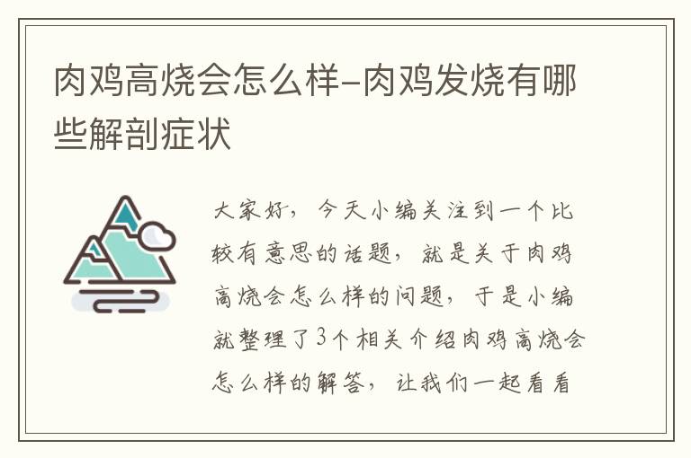 肉鸡高烧会怎么样-肉鸡发烧有哪些解剖症状