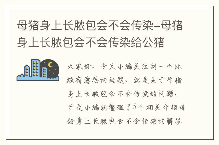 母猪身上长脓包会不会传染-母猪身上长脓包会不会传染给公猪