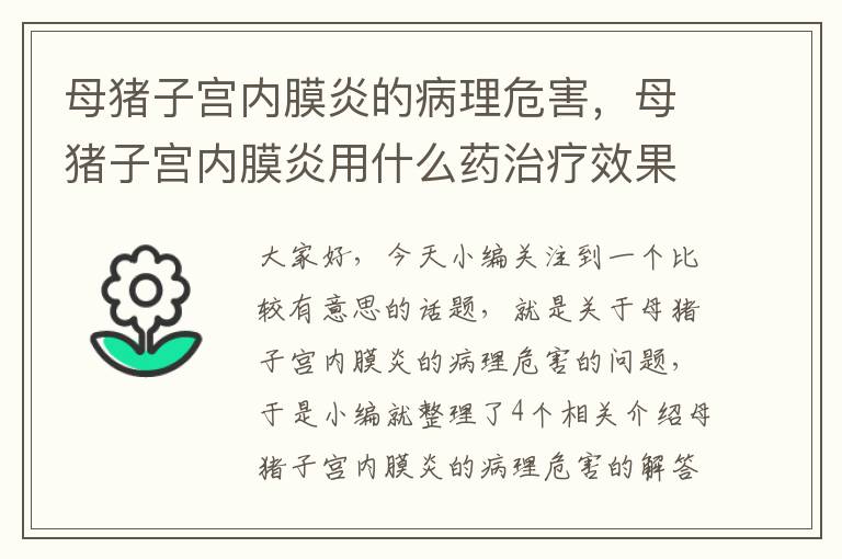 母猪子宫内膜炎的病理危害，母猪子宫内膜炎用什么药治疗效果好