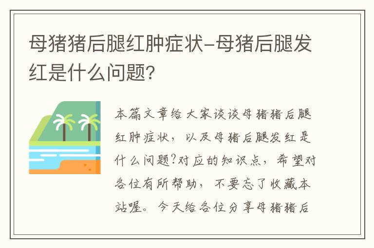 母猪猪后腿红肿症状-母猪后腿发红是什么问题?