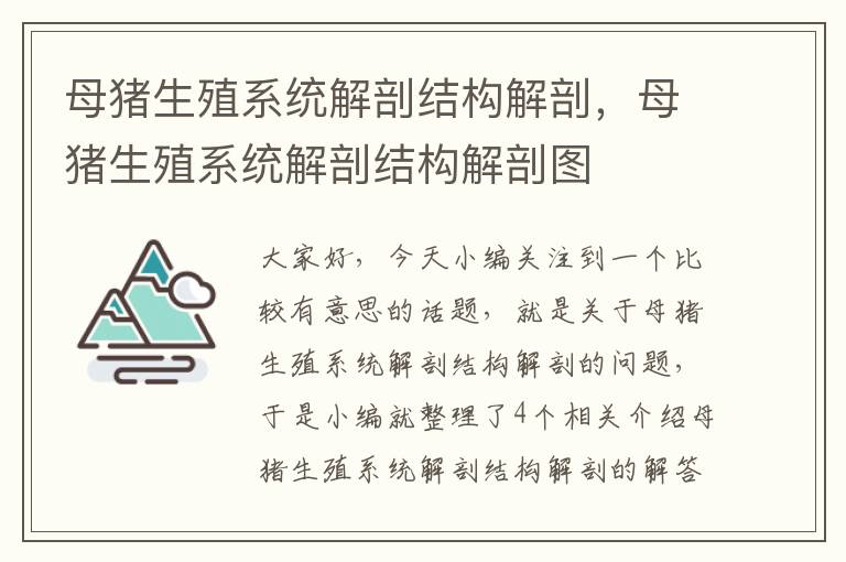 母猪生殖系统解剖结构解剖，母猪生殖系统解剖结构解剖图