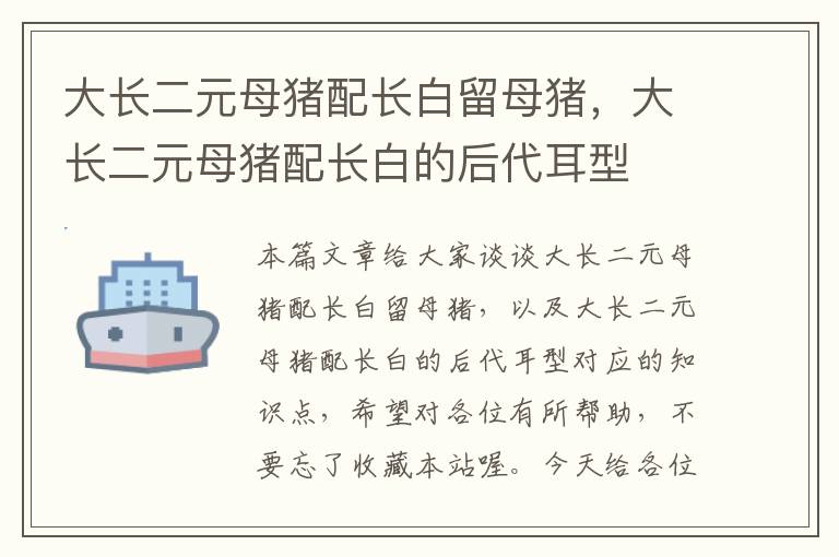 大长二元母猪配长白留母猪，大长二元母猪配长白的后代耳型