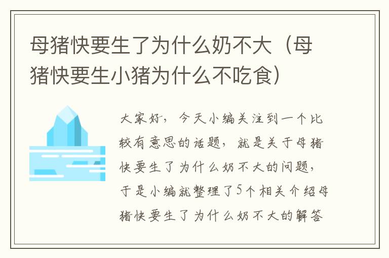 母猪快要生了为什么奶不大（母猪快要生小猪为什么不吃食）