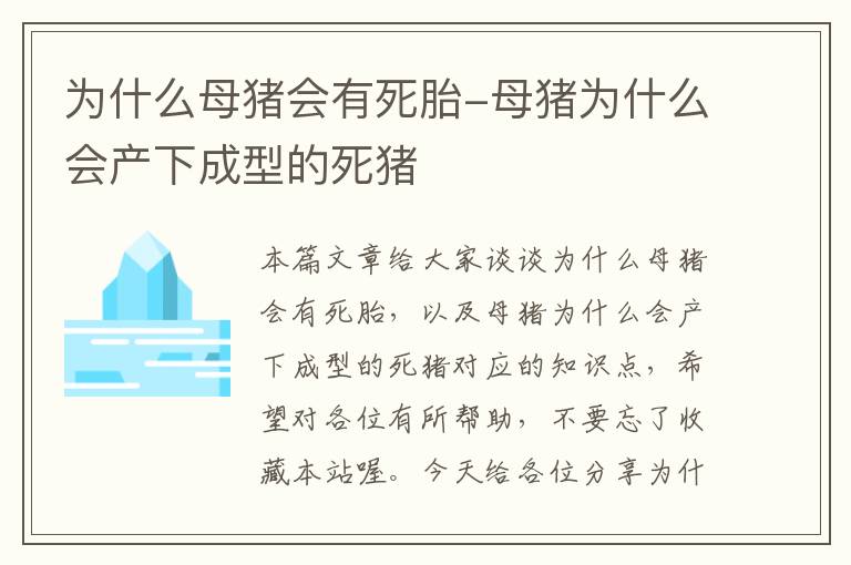 为什么母猪会有死胎-母猪为什么会产下成型的死猪