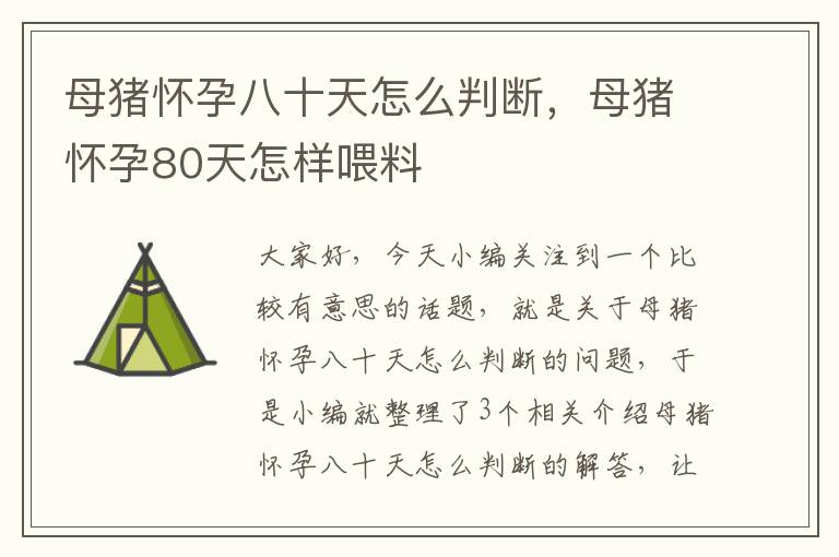 母猪怀孕八十天怎么判断，母猪怀孕80天怎样喂料