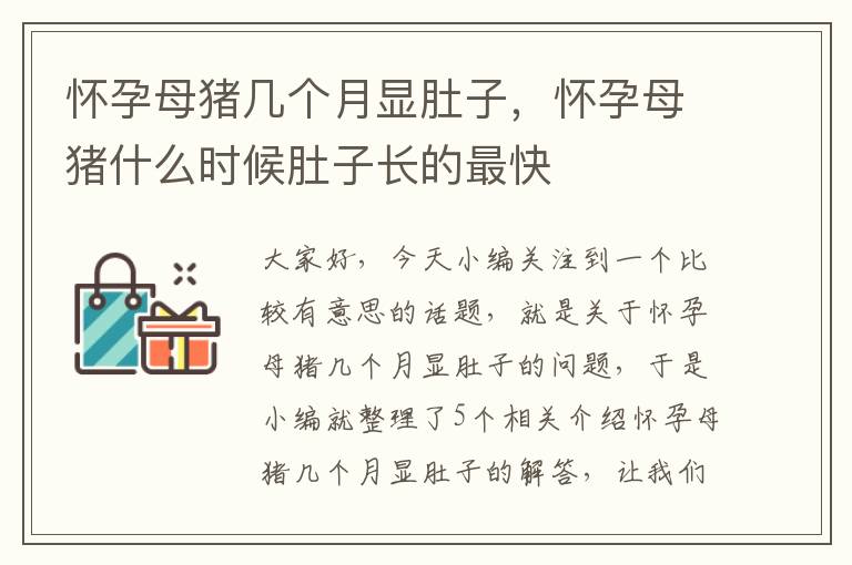 怀孕母猪几个月显肚子，怀孕母猪什么时候肚子长的最快