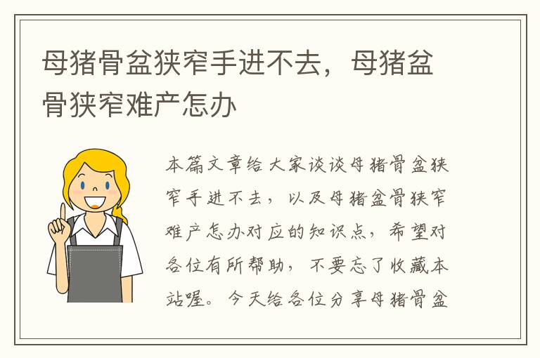 母猪骨盆狭窄手进不去，母猪盆骨狭窄难产怎办