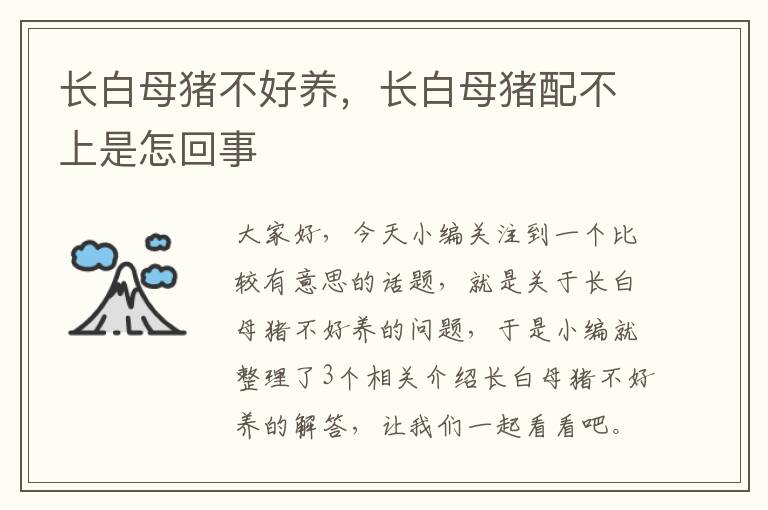 长白母猪不好养，长白母猪配不上是怎回事