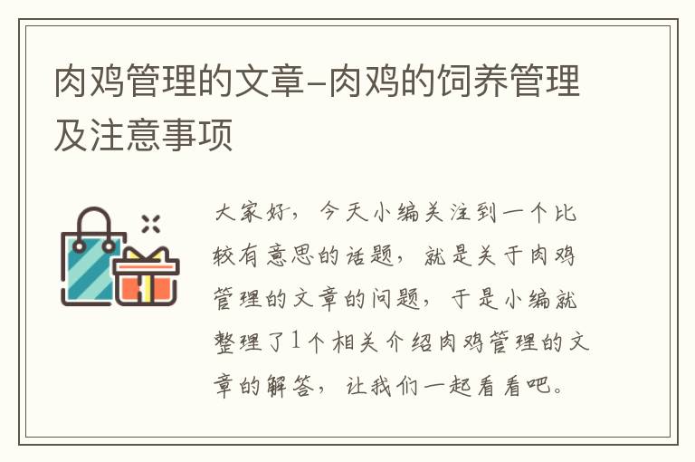 肉鸡管理的文章-肉鸡的饲养管理及注意事项