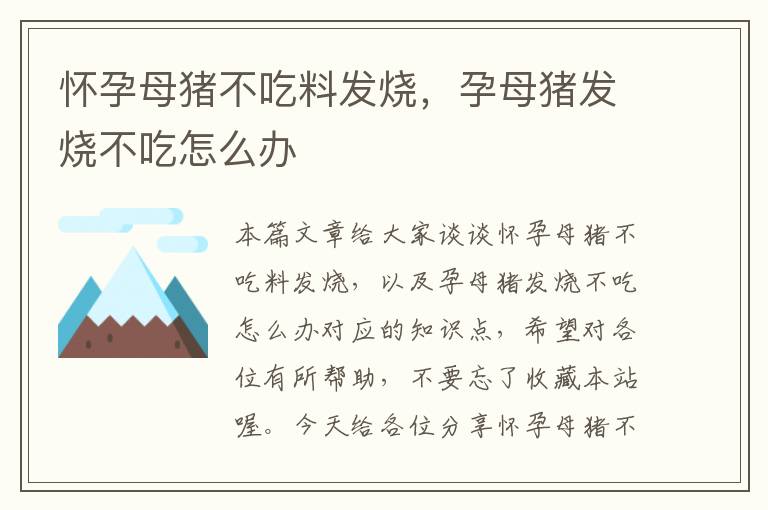 怀孕母猪不吃料发烧，孕母猪发烧不吃怎么办