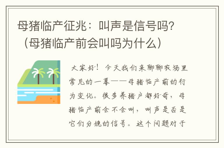 母猪临产征兆：叫声是信号吗？（母猪临产前会叫吗为什么）