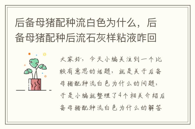 后备母猪配种流白色为什么，后备母猪配种后流石灰样粘液咋回事