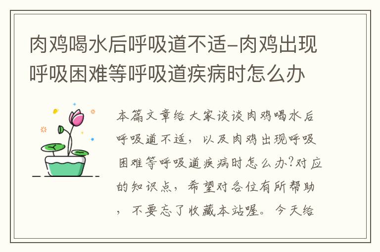 肉鸡喝水后呼吸道不适-肉鸡出现呼吸困难等呼吸道疾病时怎么办?