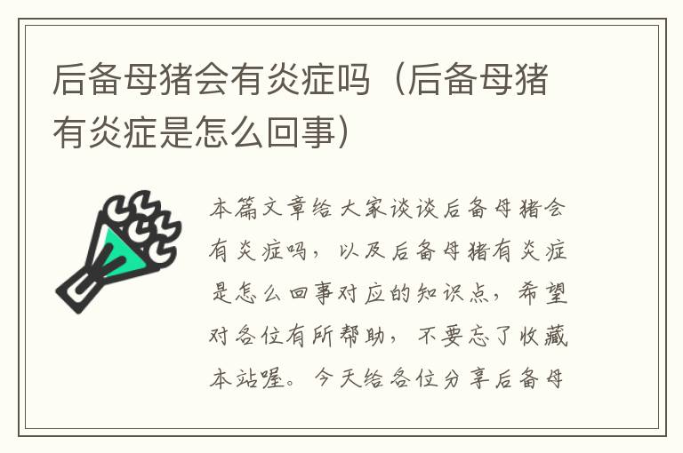 后备母猪会有炎症吗（后备母猪有炎症是怎么回事）