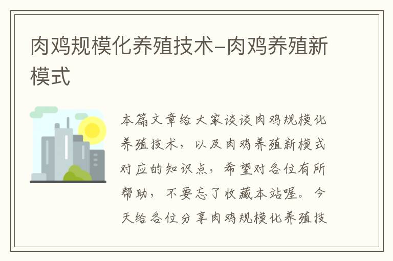 肉鸡规模化养殖技术-肉鸡养殖新模式