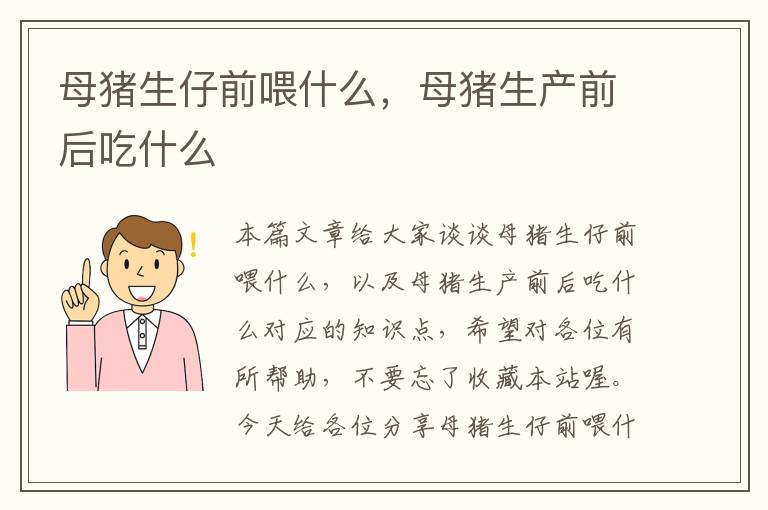 母猪生仔前喂什么，母猪生产前后吃什么