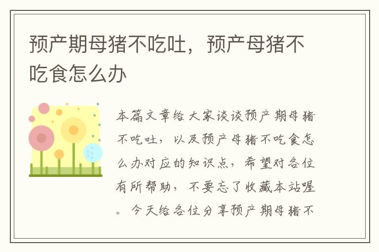 预产期母猪不吃吐，预产母猪不吃食怎么办