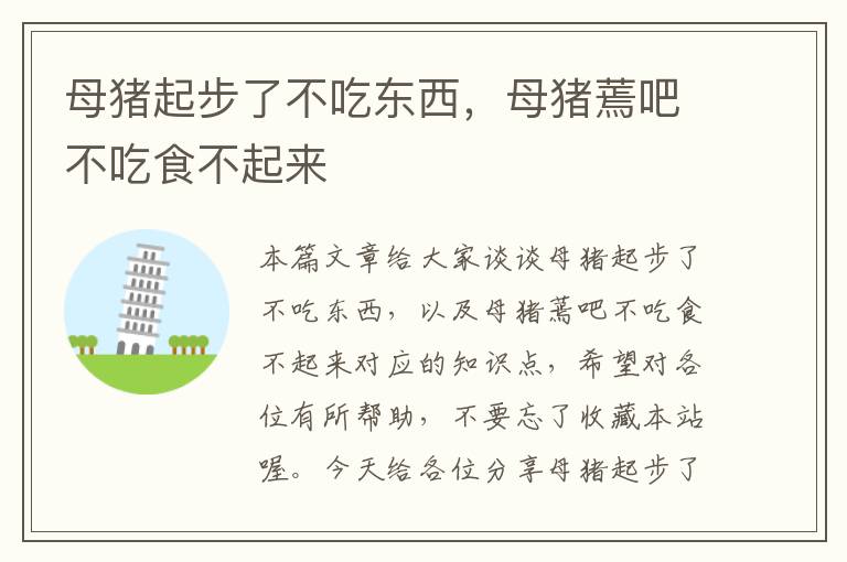 母猪起步了不吃东西，母猪蔫吧不吃食不起来