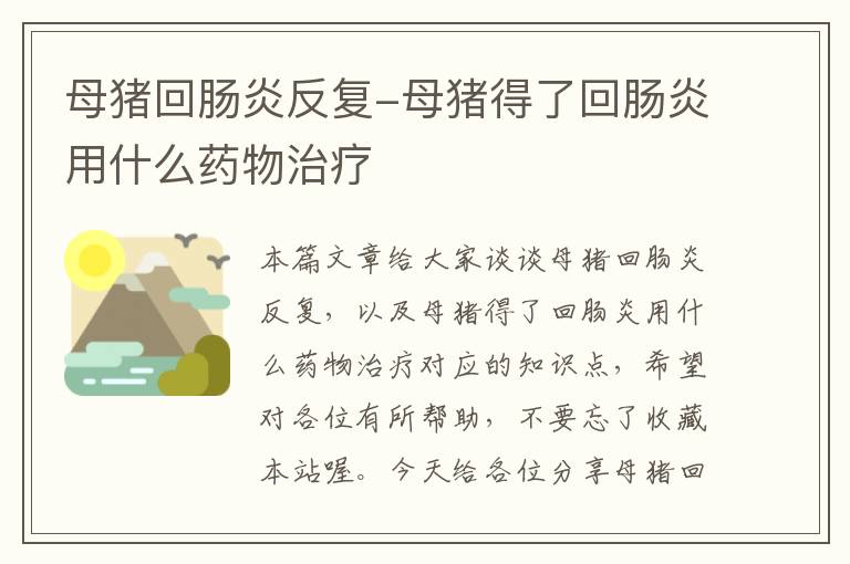 母猪回肠炎反复-母猪得了回肠炎用什么药物治疗