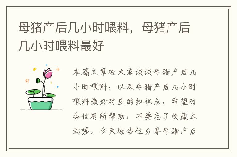 母猪产后几小时喂料，母猪产后几小时喂料最好