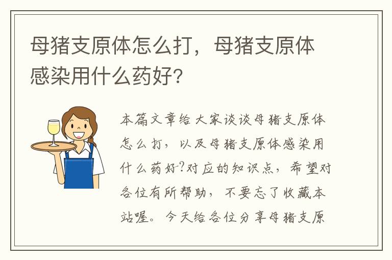 母猪支原体怎么打，母猪支原体感染用什么药好?