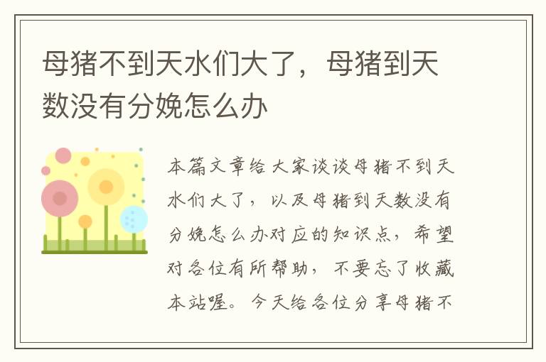 母猪不到天水们大了，母猪到天数没有分娩怎么办