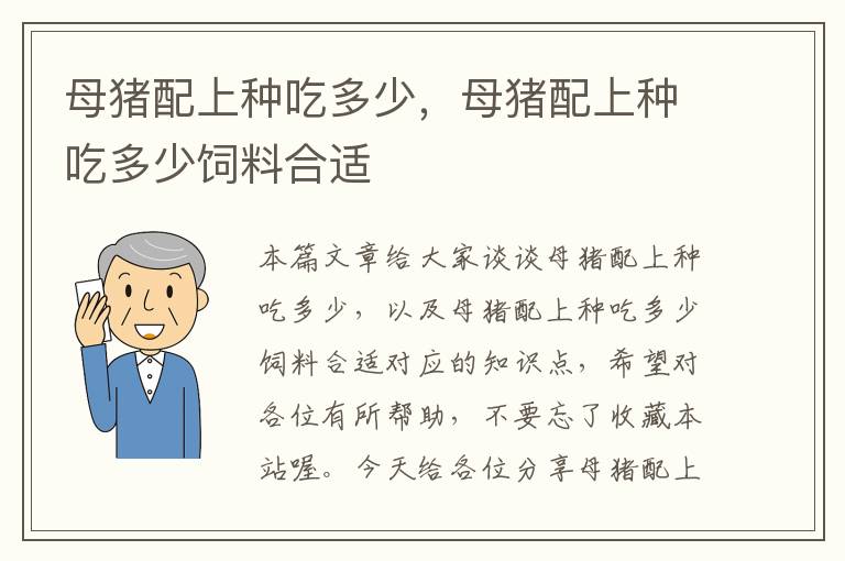 母猪配上种吃多少，母猪配上种吃多少饲料合适