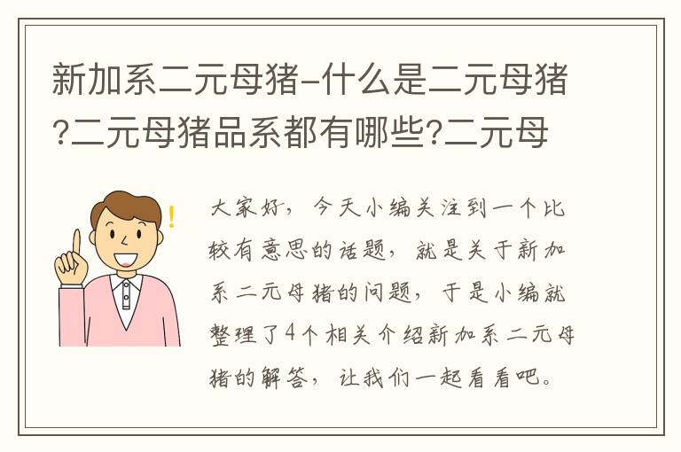 新加系二元母猪-什么是二元母猪?二元母猪品系都有哪些?二元母猪价格多少钱?