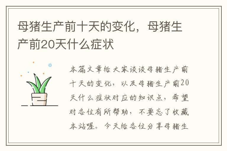 母猪生产前十天的变化，母猪生产前20天什么症状