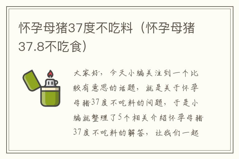 怀孕母猪37度不吃料（怀孕母猪37.8不吃食）