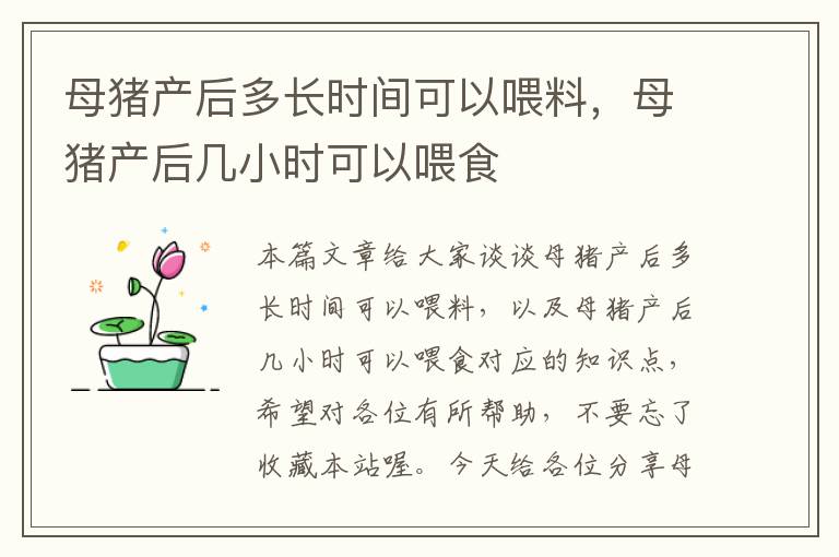 母猪产后多长时间可以喂料，母猪产后几小时可以喂食