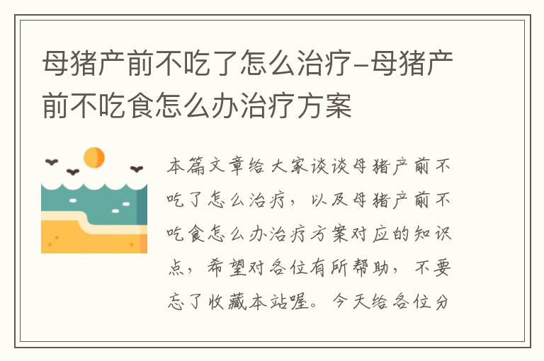 母猪产前不吃了怎么治疗-母猪产前不吃食怎么办治疗方案