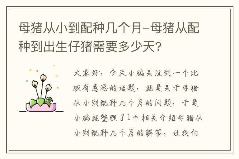 母猪从小到配种几个月-母猪从配种到出生仔猪需要多少天?